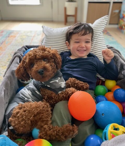 Patient support for mitochondrial disease is our focus. Here, a smiling male toddler lays back in a crib surrounded by plastic balls and has a happy, curly haired, brown dog sitting with him.
